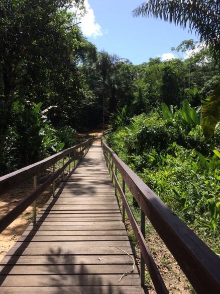 binnenland suriname