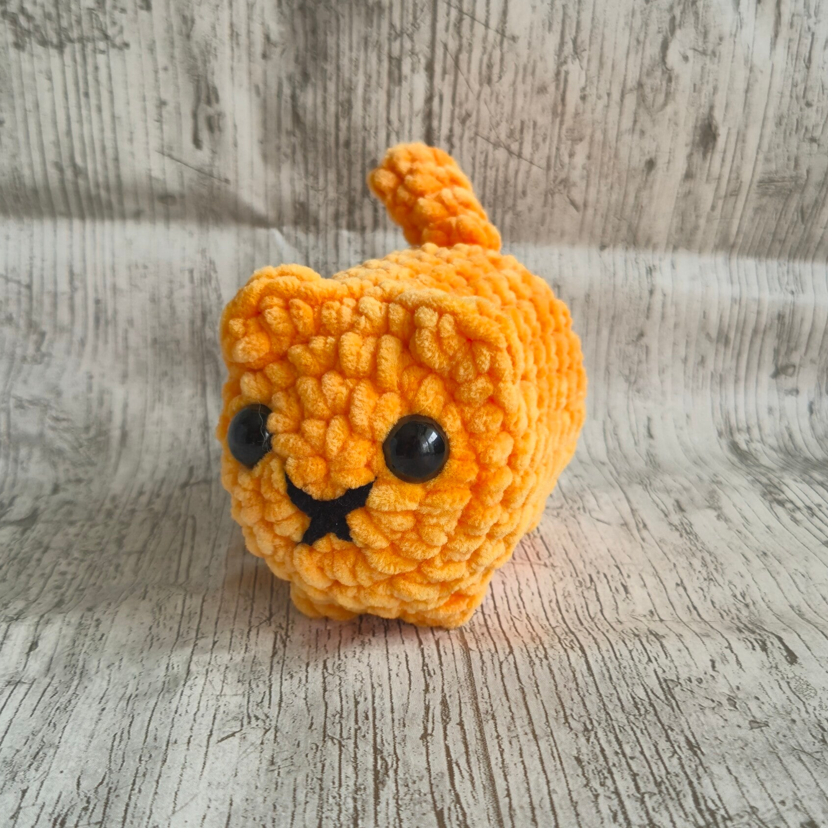 Kitten