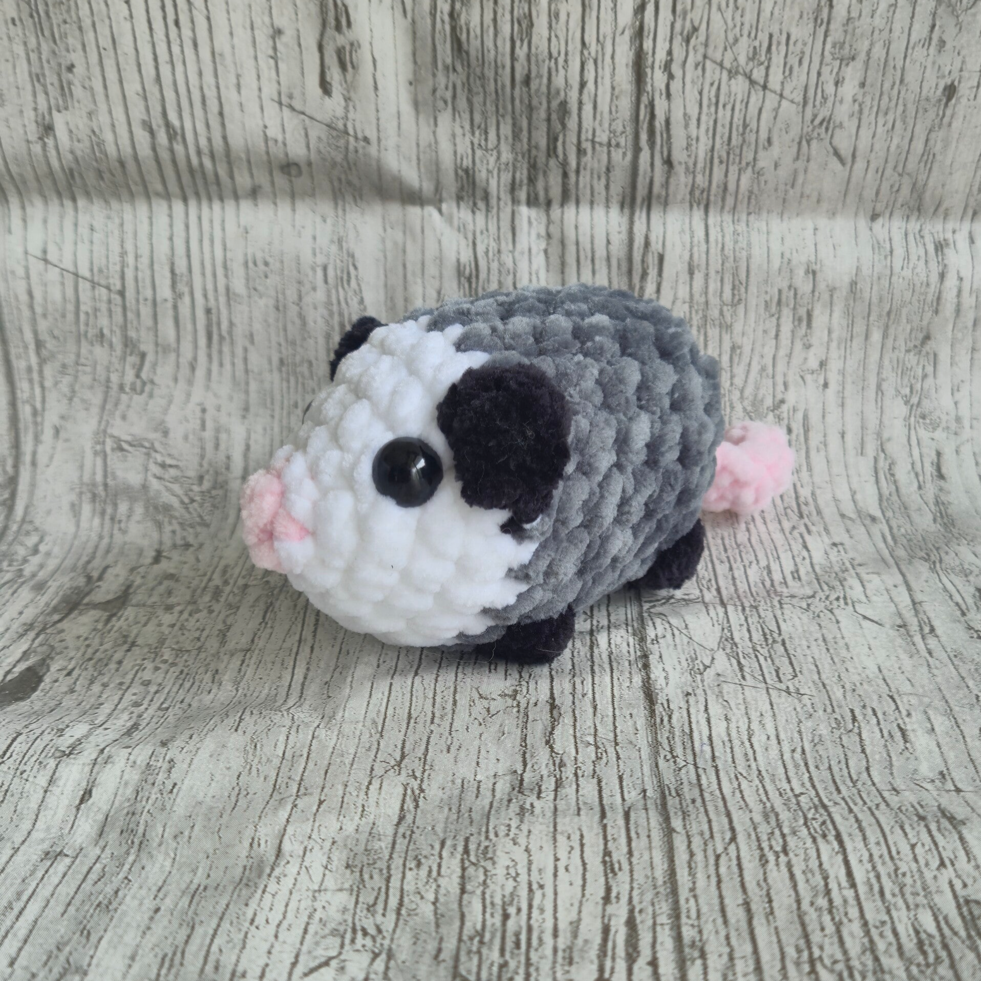 Buidelrat / Opossum