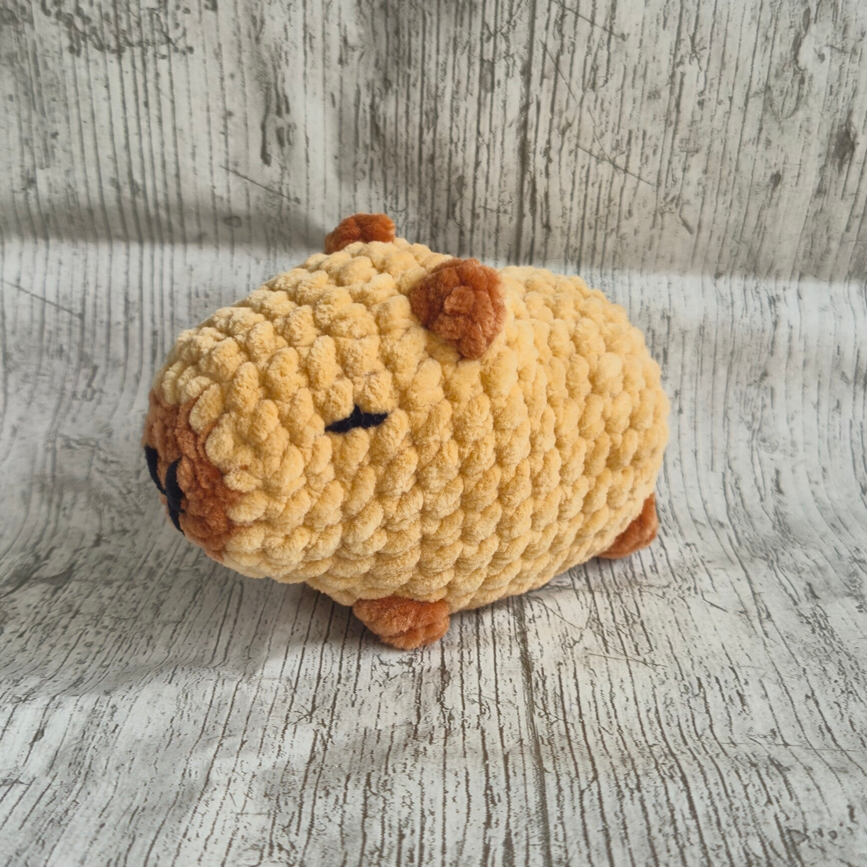 Capybara