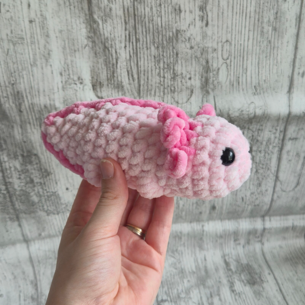 Axolotl