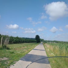 1-standard-9qeak1.jpg