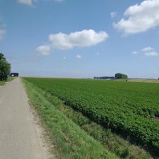 11-standard-m0lq2f.jpg