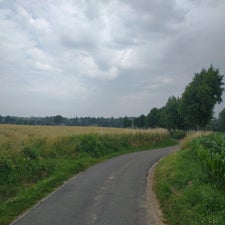 13-standard-l1dr8m.jpg