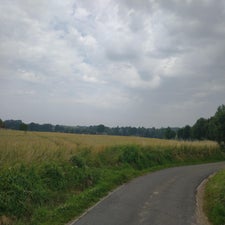 14-standard-8zx4p4.jpg