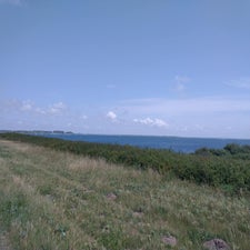 15-standard-f5k2ws.jpg
