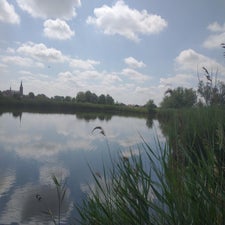 17-standard-bvld69.jpg