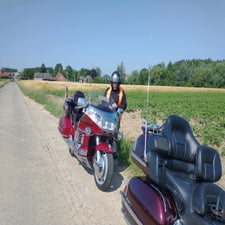 1b-standard-lqzp5k.jpg