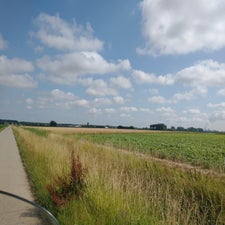 3-standard-w5woll.jpg