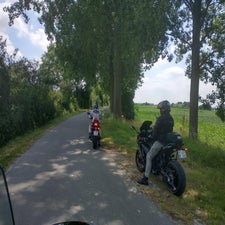 30-standard-lh4ahl.jpg