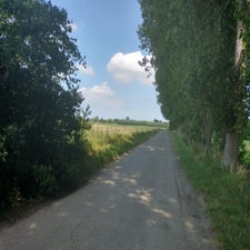 31-standard-qabu4o.jpg