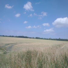 37-standard-8ryodt.jpg