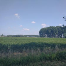 42-standard-w0kf0v.jpg