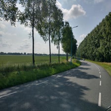 6-standard-ejw4w7.jpg