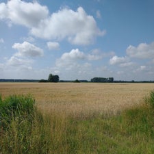 7-standard-s6w89i.jpg