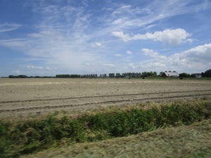 img_7462jpg.jpg