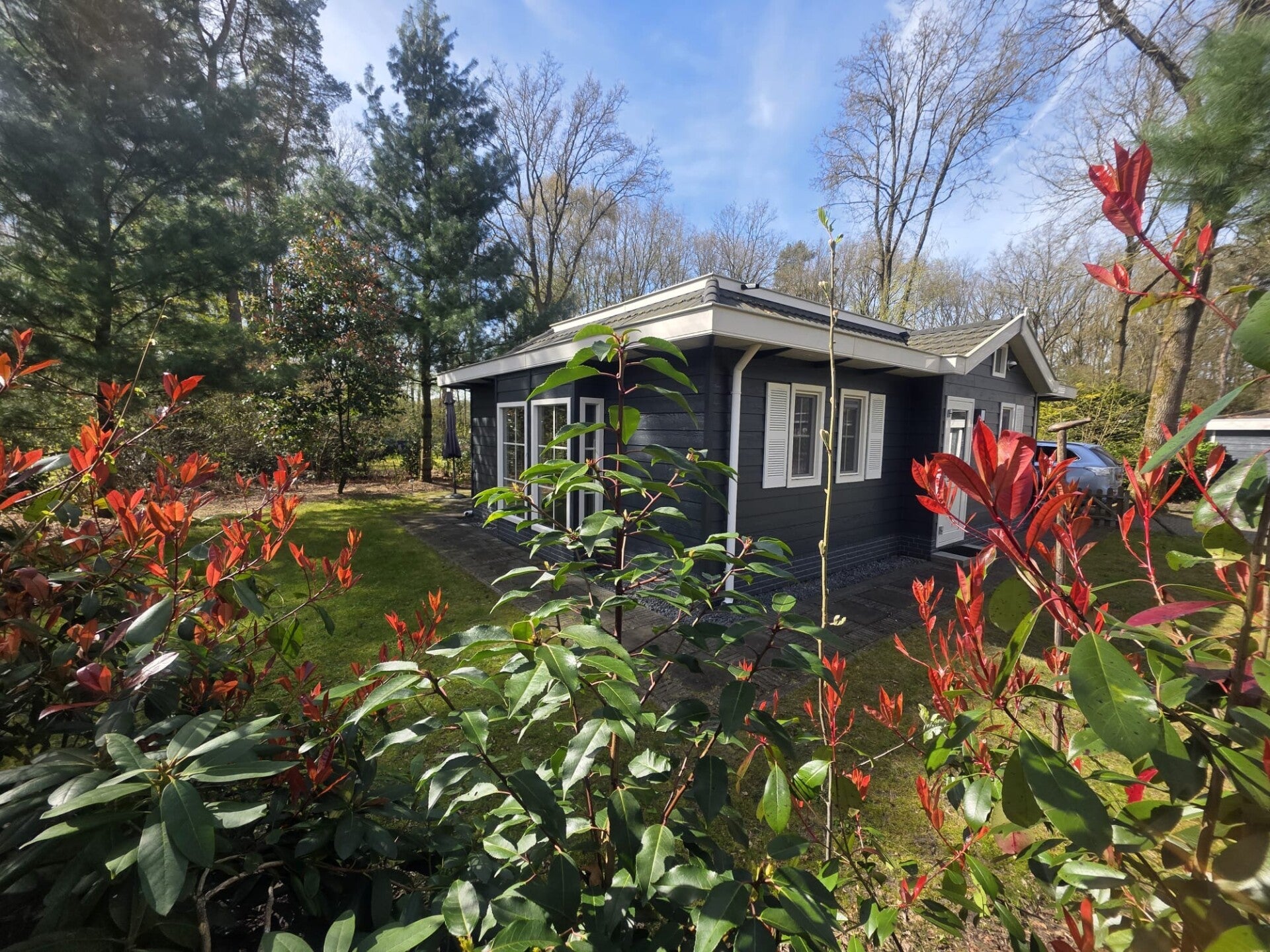 vakantie chalet Dotterbloem 612