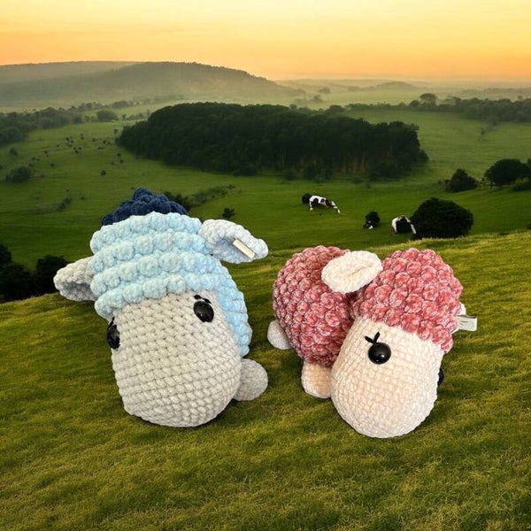 Sheep