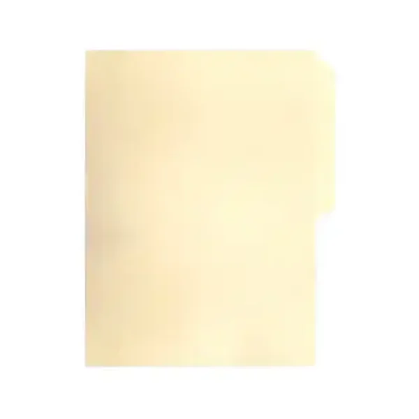 folder tamaño carta 100 pz