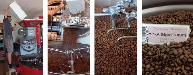 Cueillette des cerises de café