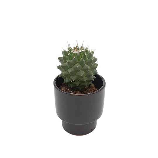 Beker-kandelaar-pot Breed zwart