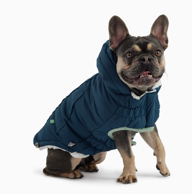 Arctic Parka – Stylische Winterjacke für Hunde (Blaugrün)