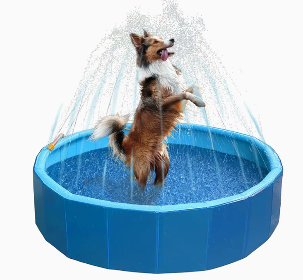 🐾 CoolPets Hundepool 120x30 cm