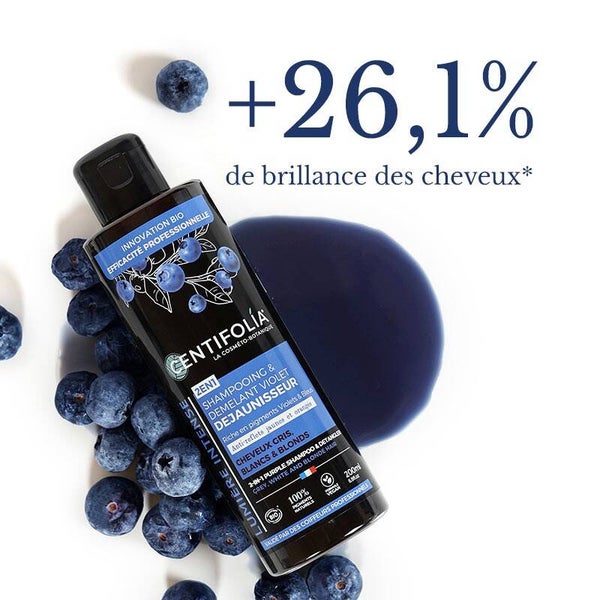 SHAMPOING & DÉMÊLANT VIOLET DÉJAUNISSEUR 2 EN 1