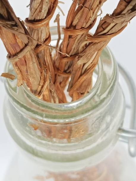 Masque Dégorgement 200 gr « Argile & Plantes" Anti pelliculaire