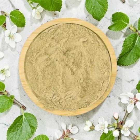 Bardane Grande (racine poudre)