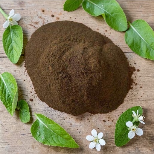 Brou de Noix (Poudre) – Naturel ou Bio –