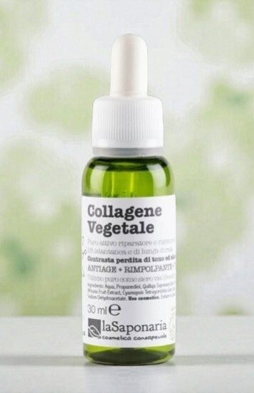 Collagène Végétal - La Saponaria -