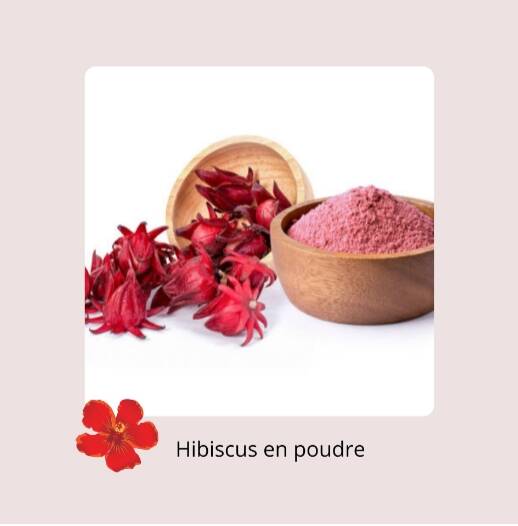 Hibiscus (poudre)