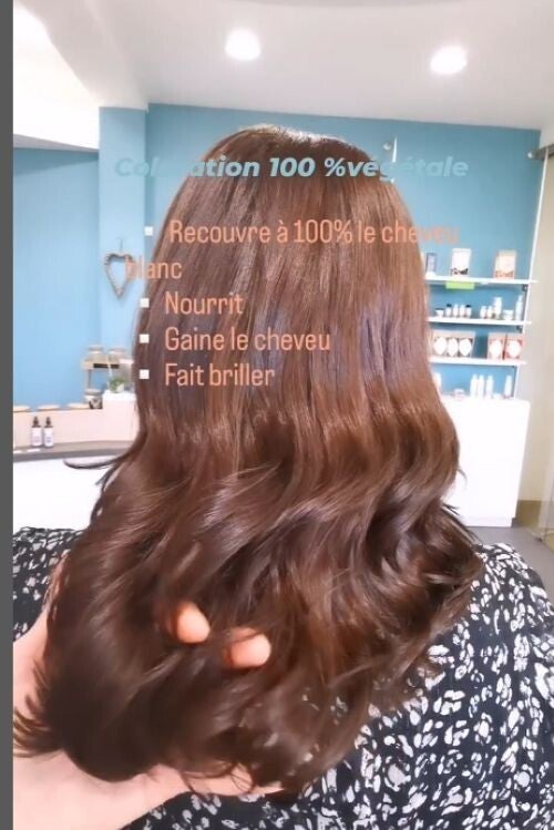 Coloration Végétale Biologique Marron clair - BIO-T -