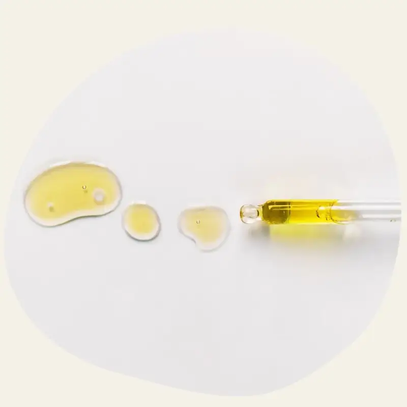 Huile de Nigelle Bio