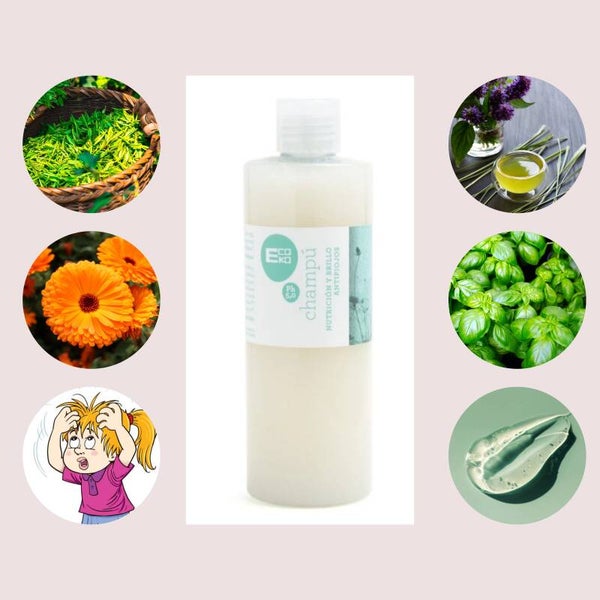Shampoing Bio Anti Poux aux Plantes – 300 ml | Traitement Naturel Efficace