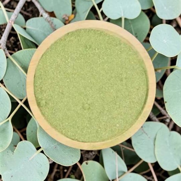 Eucalyptus Biologique (Poudre)
