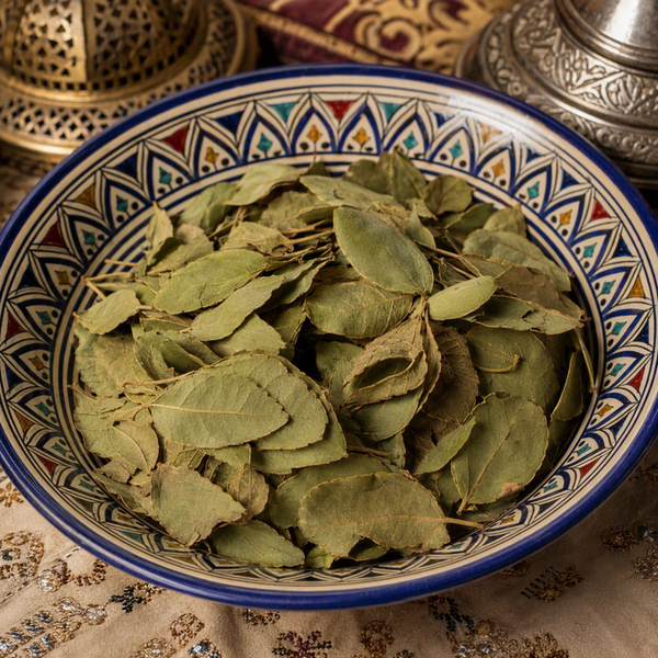 Feuilles de Jujubier (Sidr) –