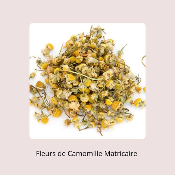 Fleurs de Camomille Matricaire – Reflets Blonds & Cuir Chevelu Apaisé