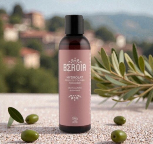 Hydrolat de Feuilles d'Olivier Biologique - Béroïa -