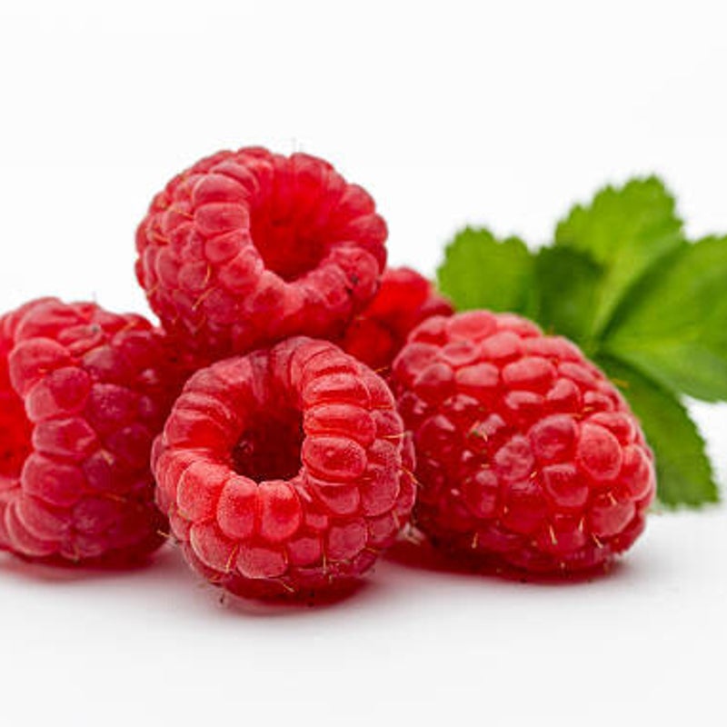 Shampoing Sublime Brillance - Centifolia -