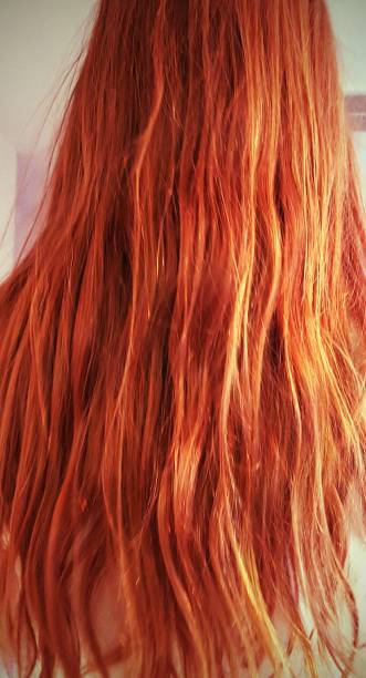 Henné Rouge N°3 – Phitofilos