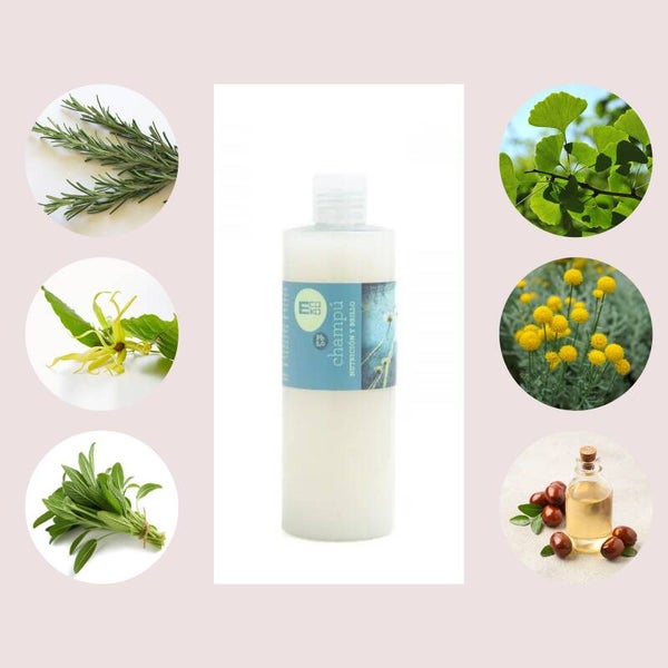 Shampoing Bio Brillance &  Nutrition aux Plantes 🌿300 ml