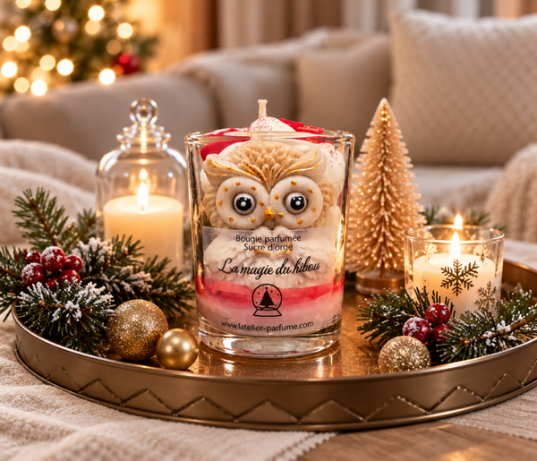 🦉 La Magie du Hibou – 🍬❄️