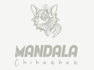 Mandala Chihuahua