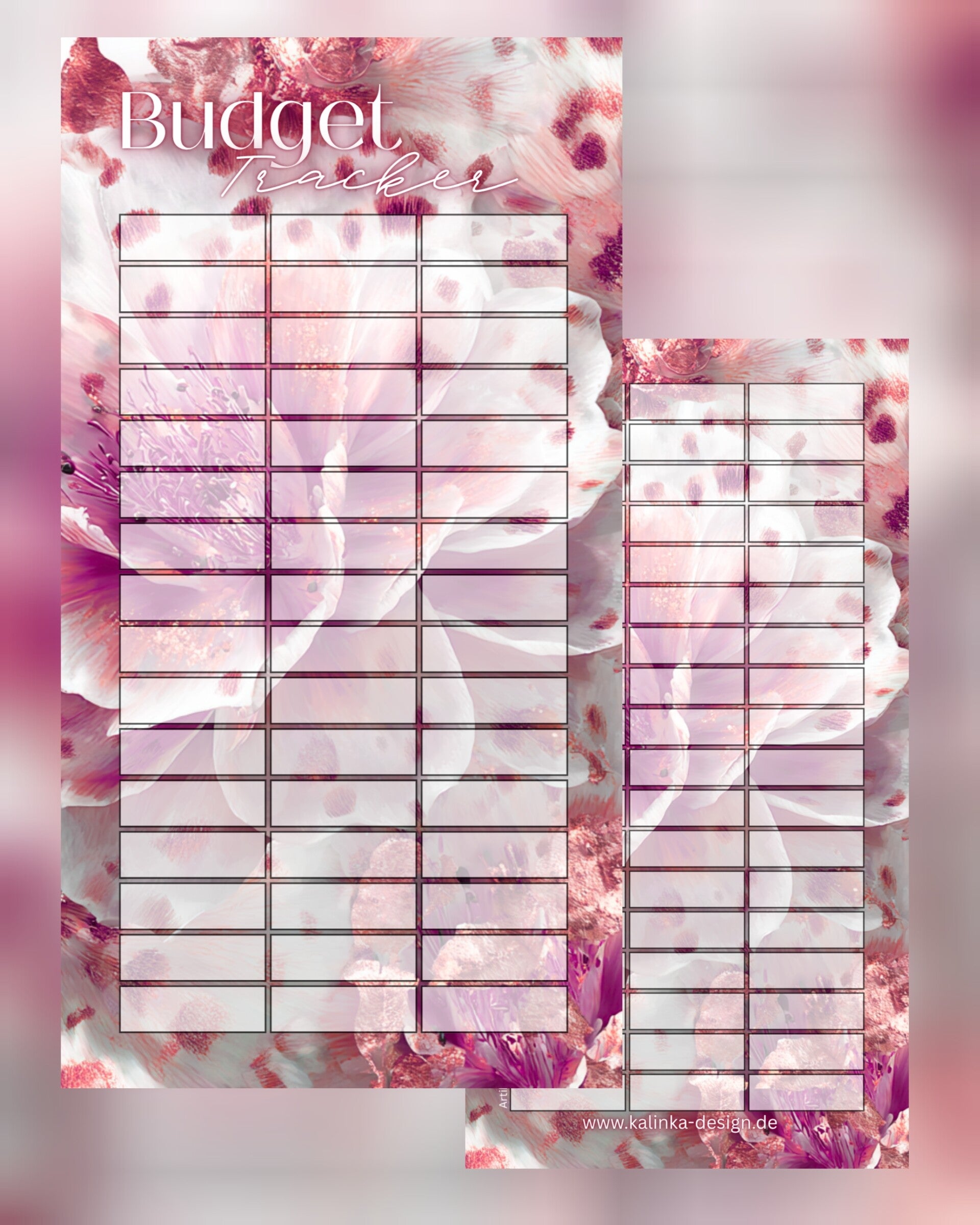 A6 - Budget Tracker "rosè"