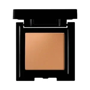 Bronzing Face Finish - cherish 01