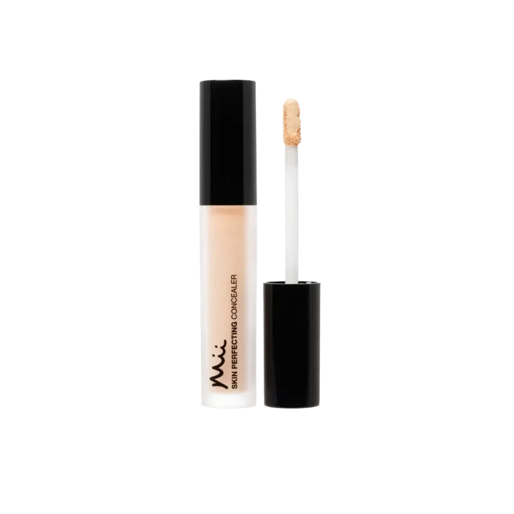 Skin Perfecting Concealer 04