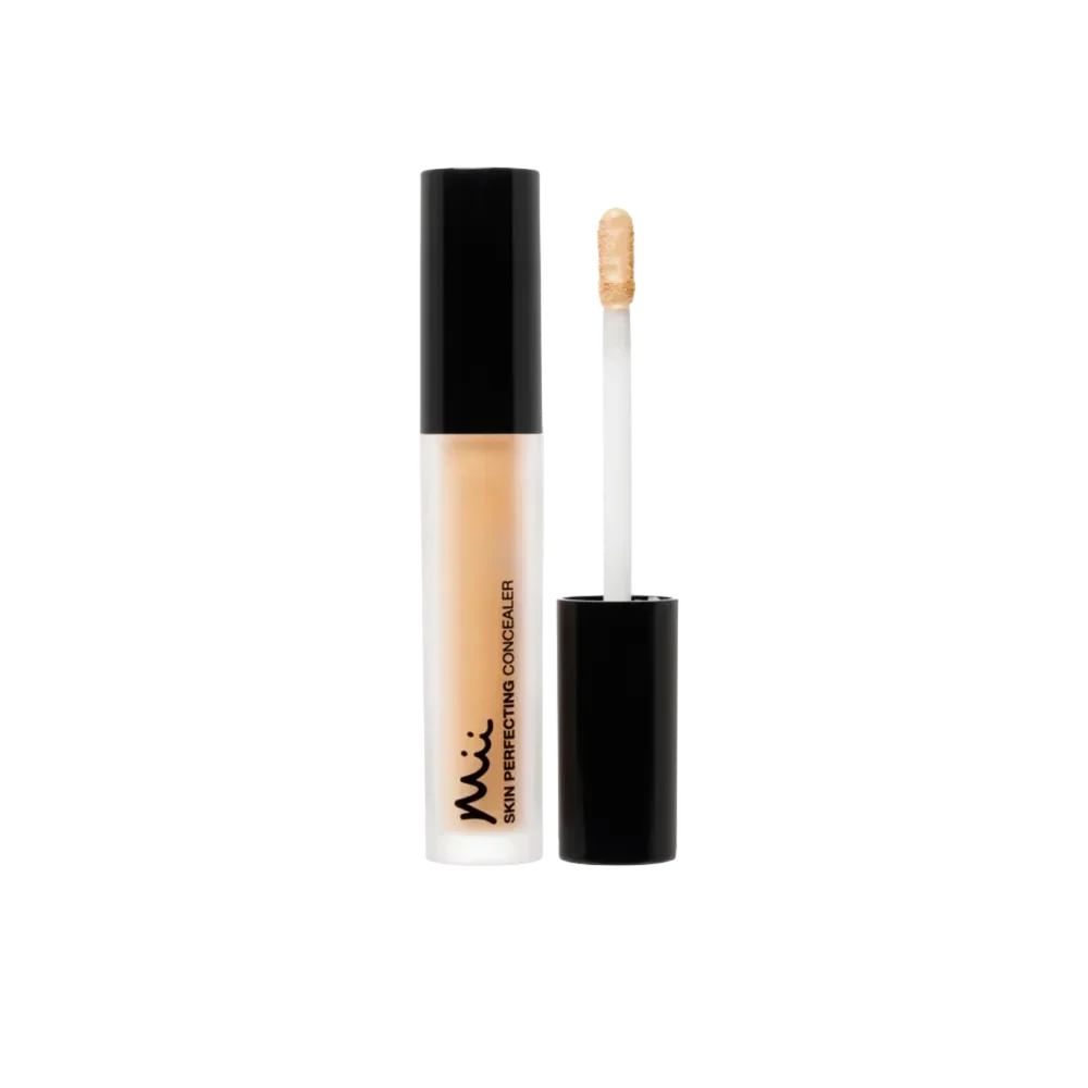 Skin Perfecting Concealer 06