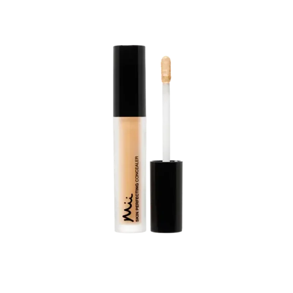 Skin Perfecting Concealer 06